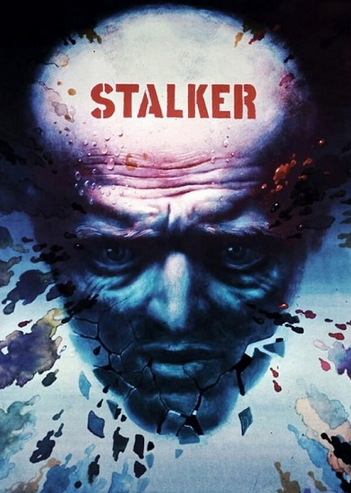 [Всеволод Зеленин] Кинокоучинг Сталкер (2021)_0.png